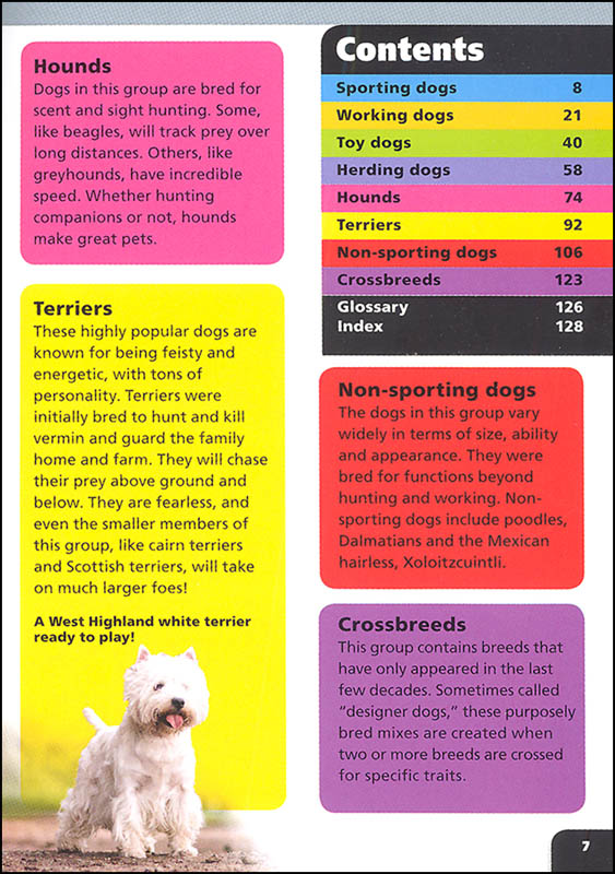 Dogs (Pocket Books) Kane/Miller Publishers 9781610678780