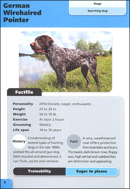 Dogs (Pocket Books) Kane/Miller Publishers 9781610678780