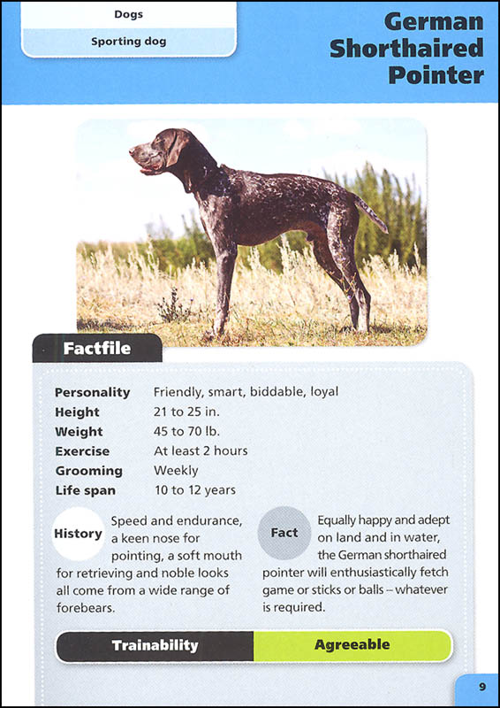 Dogs (Pocket Books) Kane/Miller Publishers 9781610678780