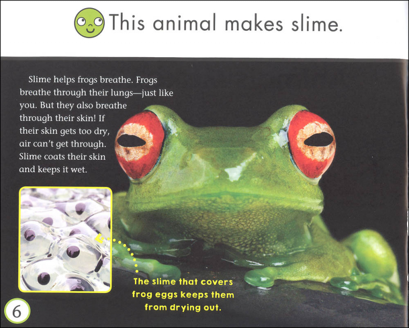 Slime Book (Side by Side) | Children's Press | 9780531136492