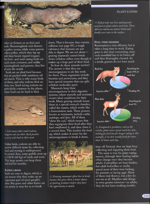 Kingfisher Nature Encyclopedia Kingfisher 9780753475027