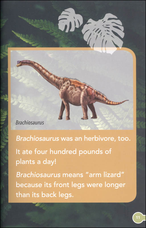 Dinosaur Discoveries (Smithsonian Reader Level 2) | Silver Dolphin ...