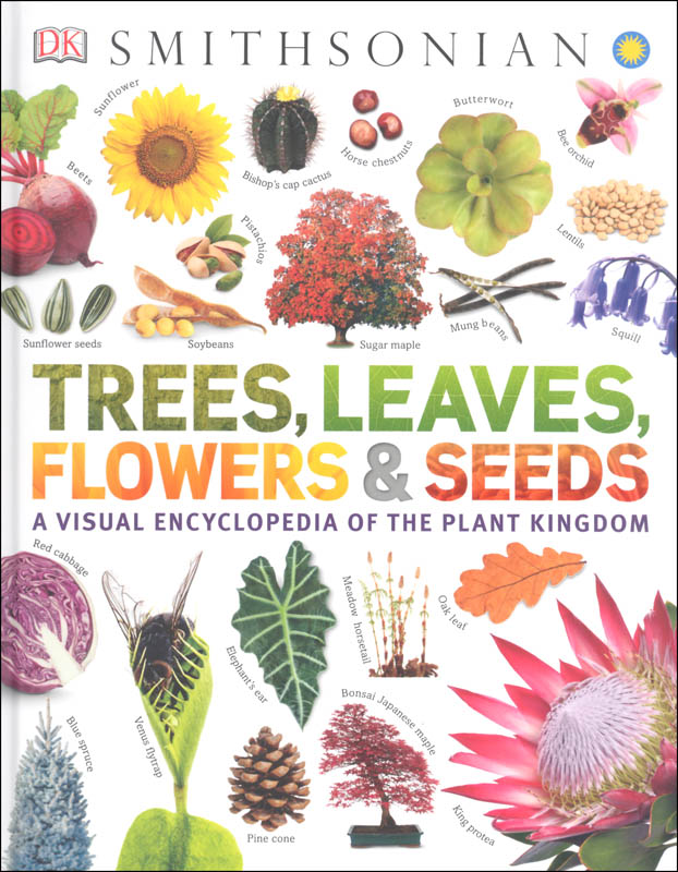 Trees, Leaves, Flowers and Seeds: Visual Encyclopedia of the Plant Kingdom