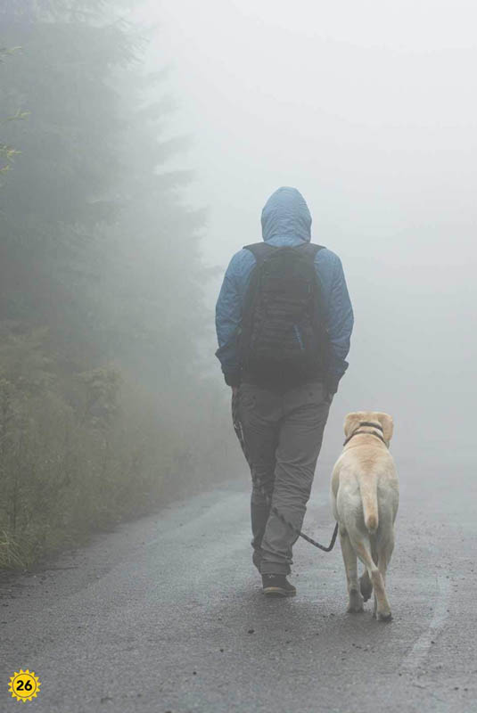 Weather (Ripley Readers Level 1) Ripley Publishing 9781609913236