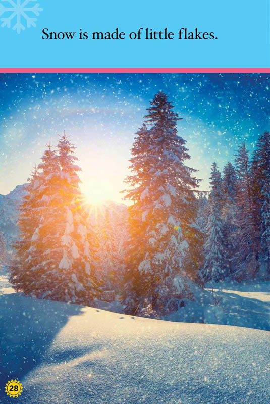 Weather (Ripley Readers Level 1) Ripley Publishing 9781609913236