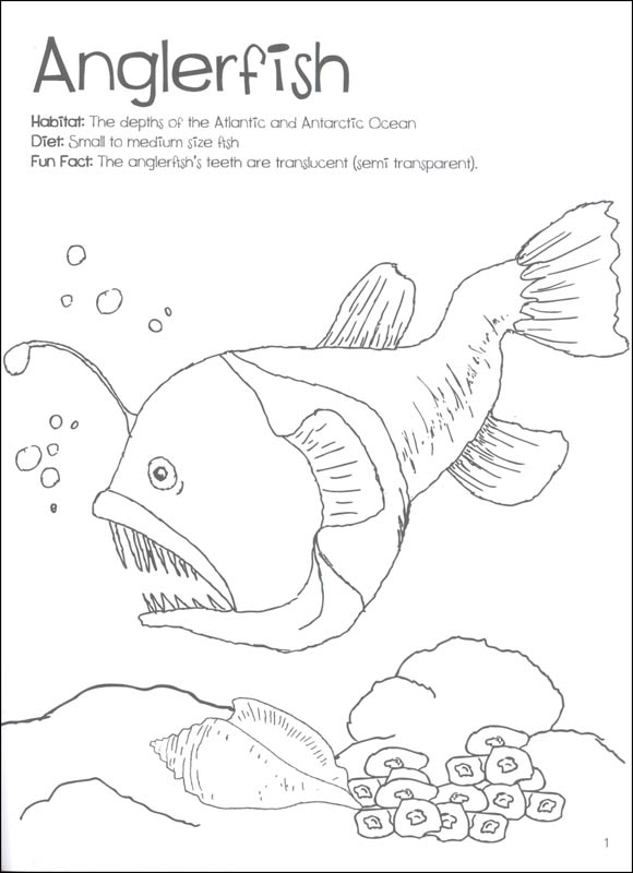 Doodles Sea Life Coloring Fun | Doodles Ave | 9781624070846