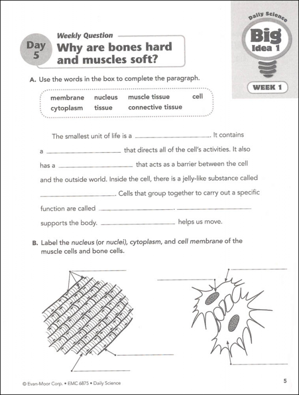 Daily Science Grade 5 - Individual Student Workbook | Evan-Moor