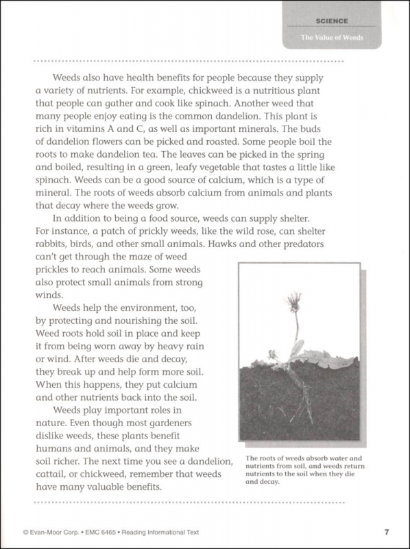 Your headmaster essay in english image