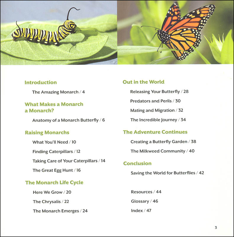 How To Raise Monarch Butterflies Book