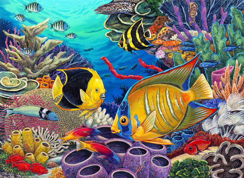 Painting By Numbers - Caribbean Coral Reef (Jr Large) | Royal ...