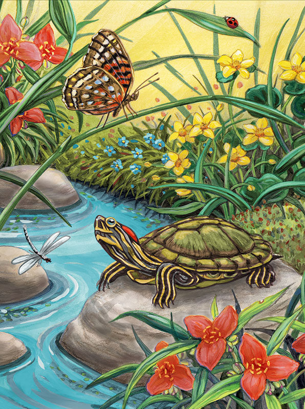 Painting By Numbers - Red Eared Slider (Jr Small)