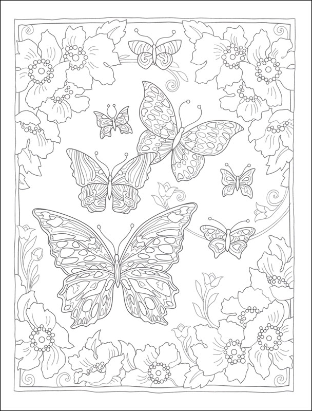 Butterflies Flights of Fancy Coloring Book (Creative Haven) Creative