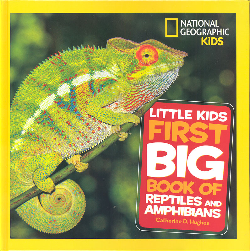 Little Kids First Big Bk Reptiles & Ampibians