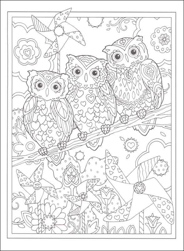 Owls (Creative Haven Coloring Books) Dover Publications 9780486796642