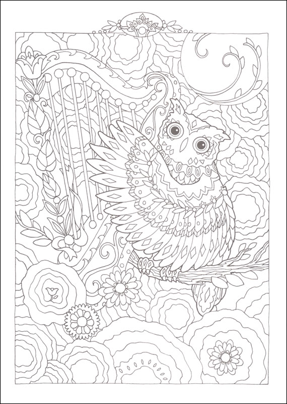 Owls (Creative Haven Coloring Books) Dover Publications 9780486796642