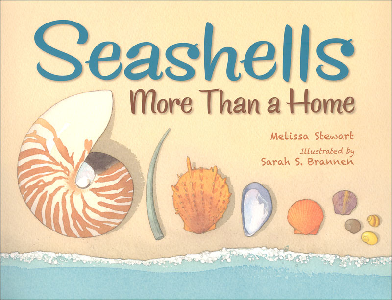 Seashells: More Than a Home