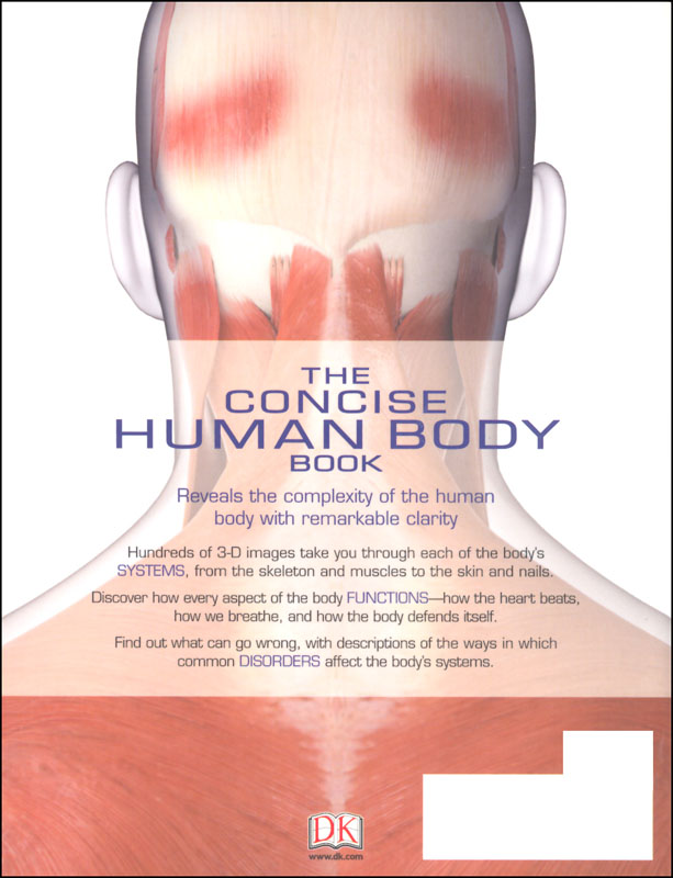 drawing the human body book