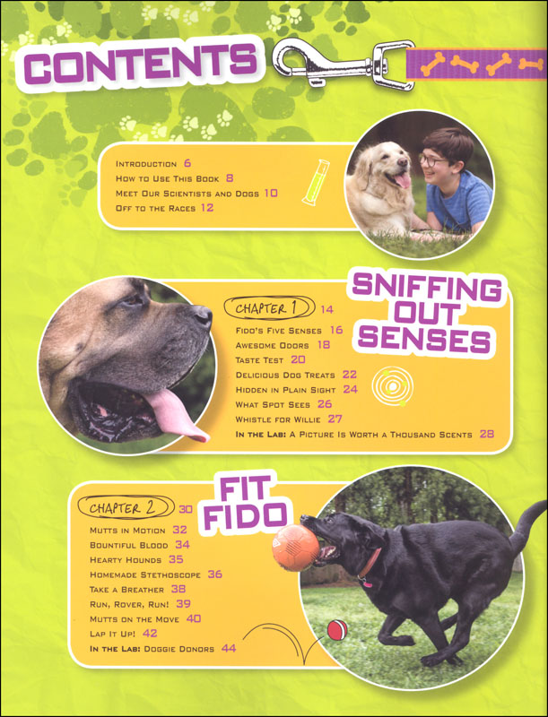 Dog Science Unleashed: Fun Activities To Do With Your Canine Companion ...