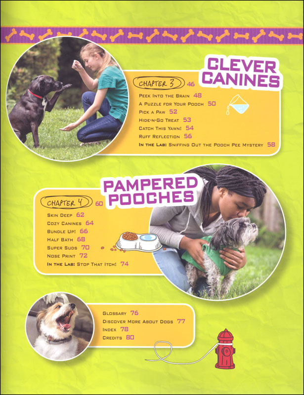 Dog Science Unleashed: Fun Activities To Do With Your Canine Companion ...