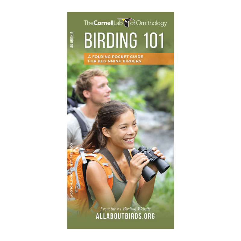 Birding 101: A Folding Pocket Guide for Beginning Birders