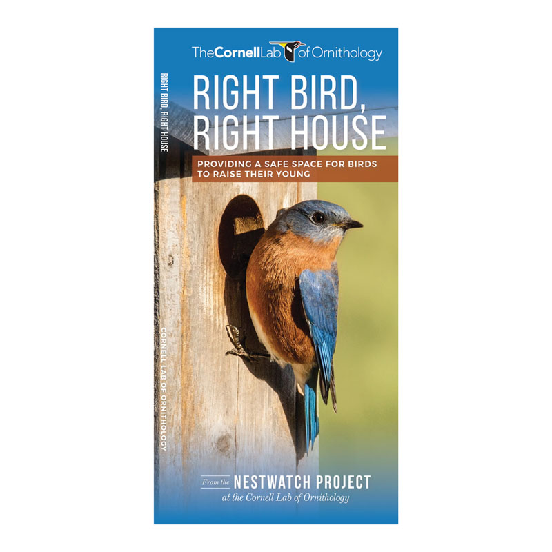 Right Bird, Right House: Providing a Safe Space for Birds to Raise Their Young
