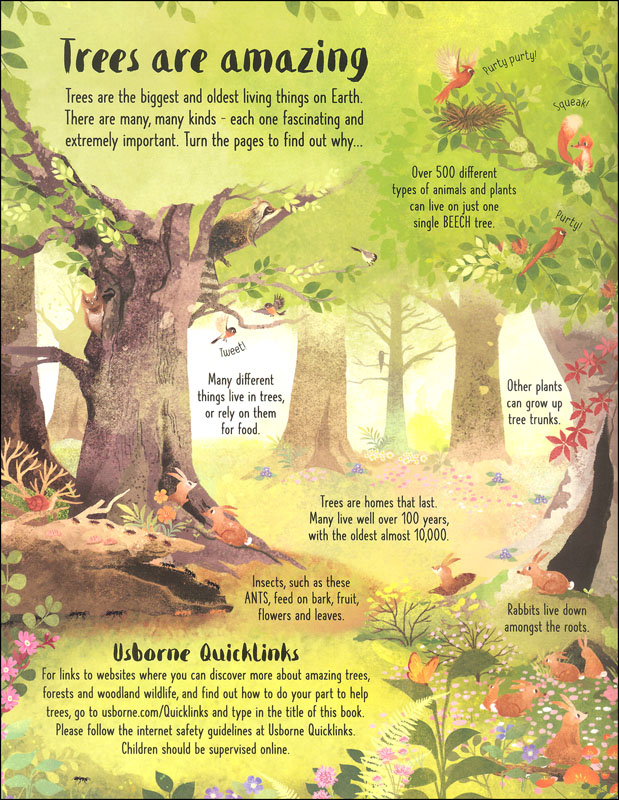 Lift-the-Flap Trees | Usborne | 9780794553081