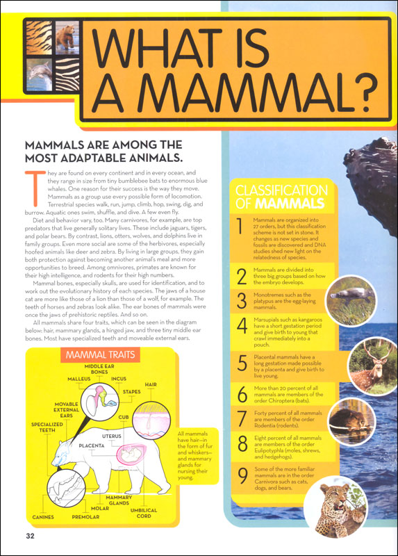 National Geographic Kids Animal Encyclopedia 2nd Edition | National