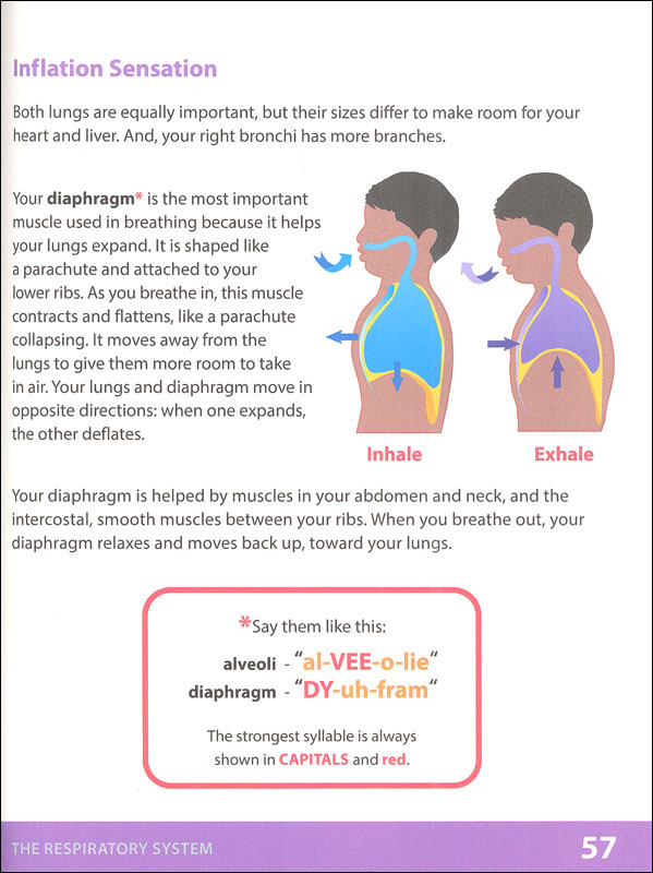 Respiratory System: Adventure 9 | Know Yourself | 9780998819761