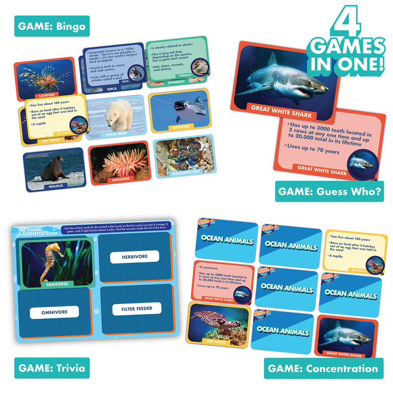 Ocean Animals Games (Young Scientists Club) | Young Scientists Club