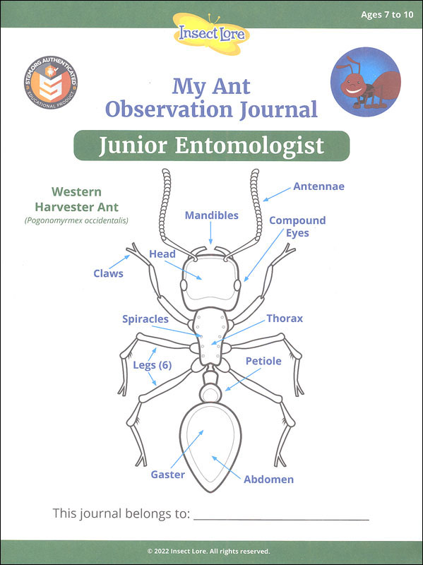 STEM Ant Activity Journal - Junior Entomologist