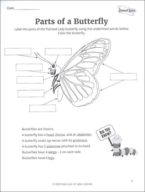 STEM Butterfly Activity Journal - Budding Entomologist | Insect Lore ...