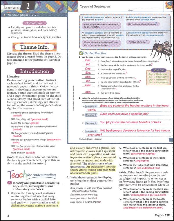Essay grammar picture