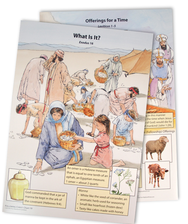 Bible Truths 3 Visual Packet 4th Edition 