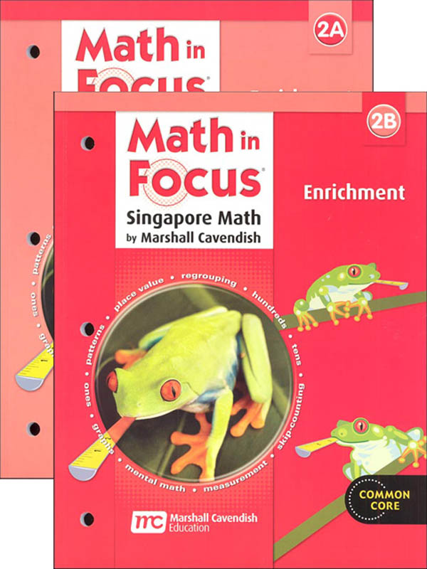 Math in Focus Grade 2 Enrichment A and B Set