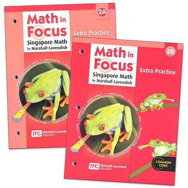 Math in Focus Gr 2 Extra Practice A & B Set