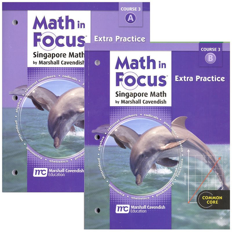 Math in Focus Course 3 G8 Extra Practice A&B