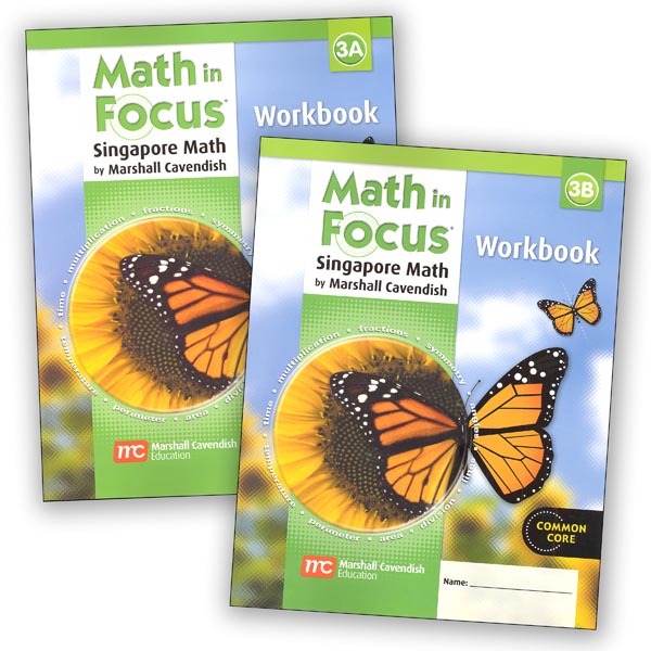Math in Focus Grade 3 Workbook A and B Set