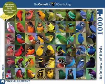 Rainbow of Birds -1000 piece (Cornell Birds)