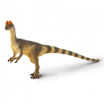Dilophosaurus (Wild Safari Prehistoric World)