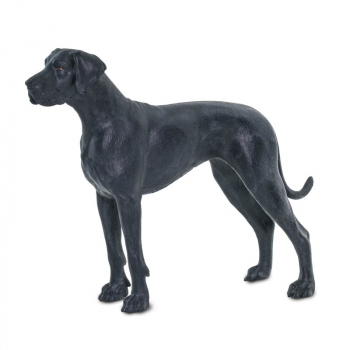 Great Dane (Best in Show)