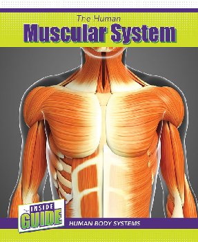 Human Muscular System (Inside Guide: Human Body Systems)