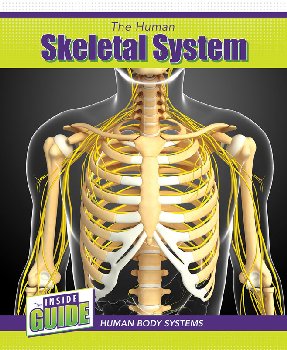Human Skeletal System (Inside Guide: Human Body Systems)