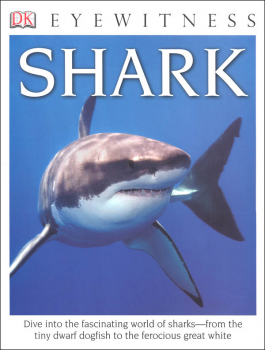 Shark (Eyewitness Book)