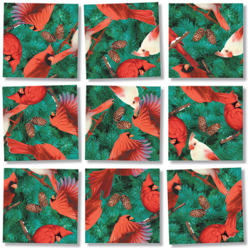 Freshwater Fish Scramble Squares® – Scramble Squares