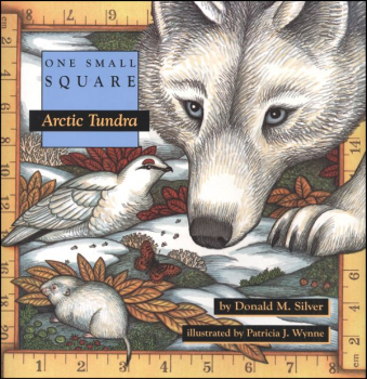 One Small Square: Arctic Tundra