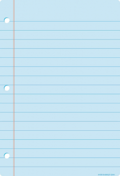 Notebook Page Smart Poly Chart Write-On/Wipe-Off - Light Blue
