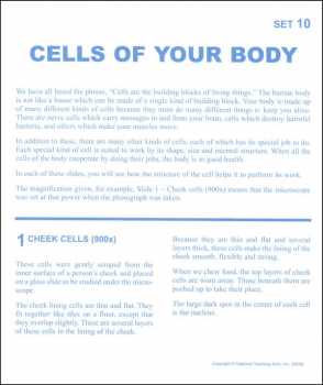 Cells of Your Body Microslide Lesson Set
