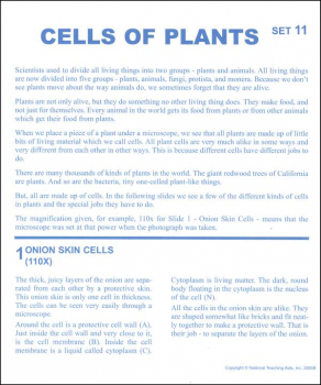 Cells of Plants Microslide Lesson Set