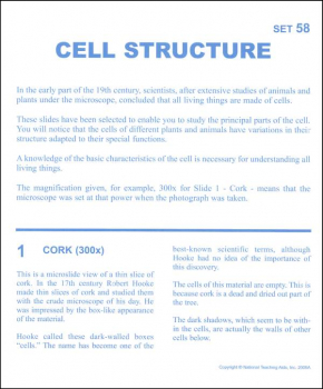Cell Structure Microslide Lesson Set