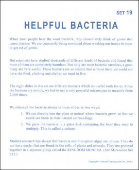 Helpful Bacteria Microslide Lesson Set